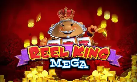 Oklv Mega Reels Exclusive